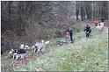 Tour Taunus 186